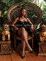 Studio Image